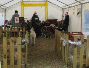 Ferme pédagogique itinérante avec animaux lors d’un événement pour enfants organisé par Les Minis Pattes dans le Lot