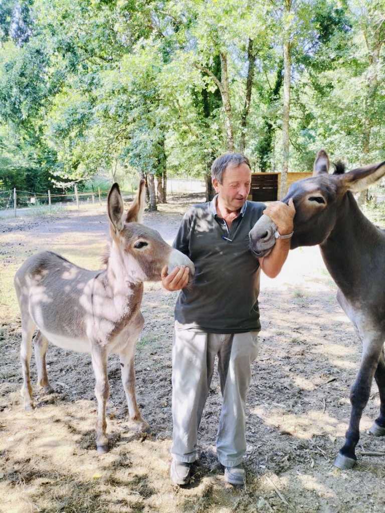 Un homme nourrit deux ânes dans un enclos au cœur de la ferme pédagogique Les Minis Pattes.