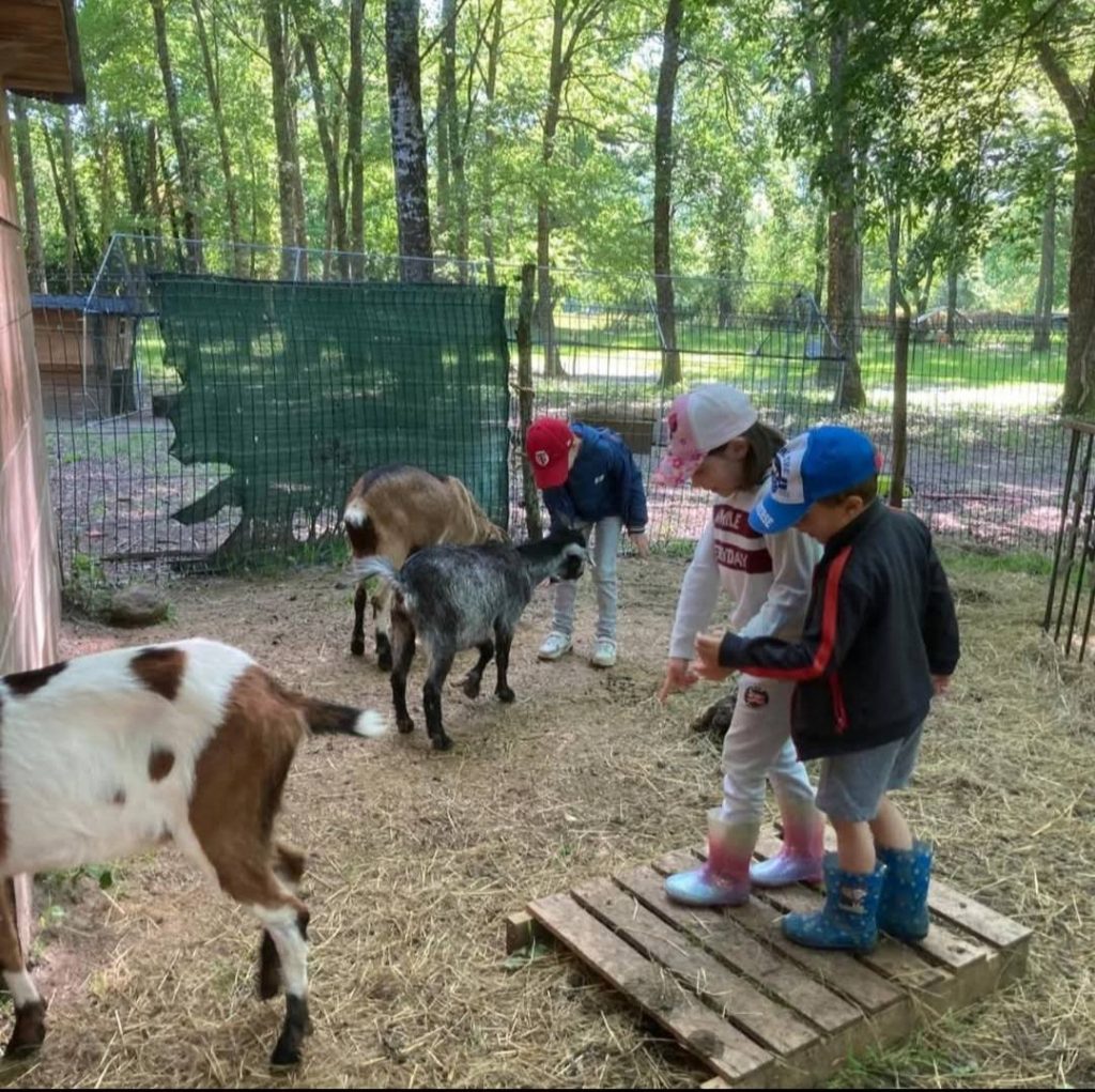 Enfants participant à un atelier de découverte des animaux dans une ferme pédagogique, entourés de chèvres et de moutons